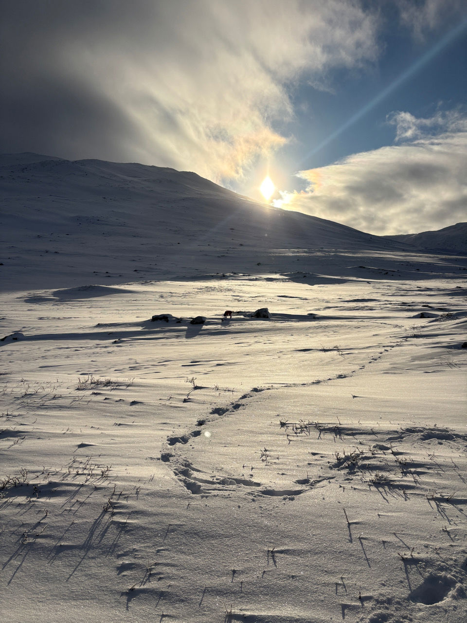 et snødekt landskap med solen i bakgrunnen