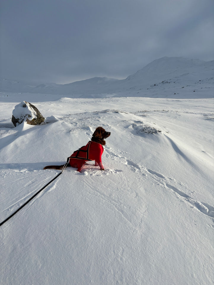 en person som står på ski ned et fjell