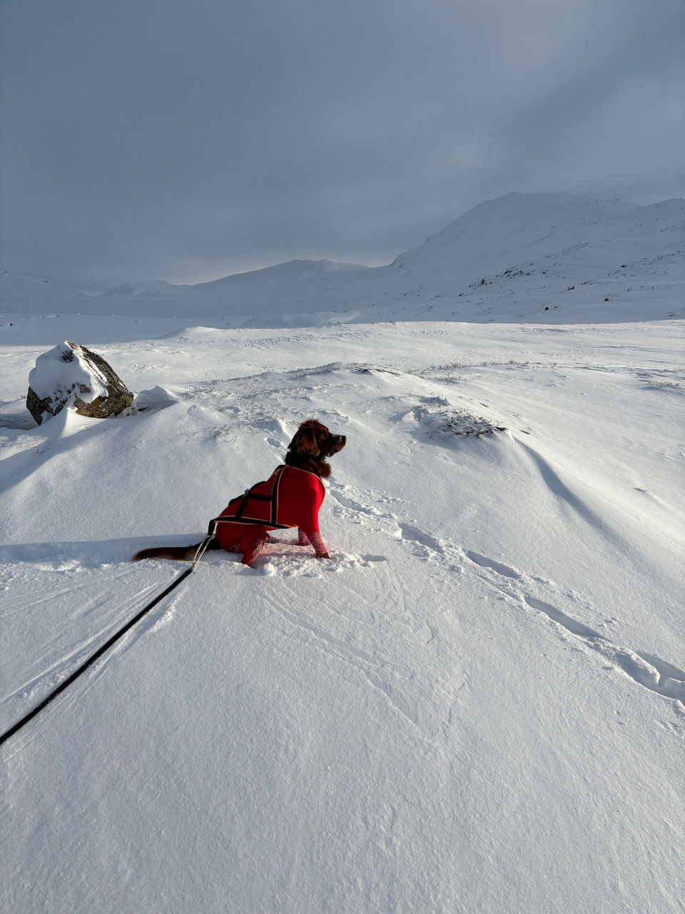en person som sitter på snøen