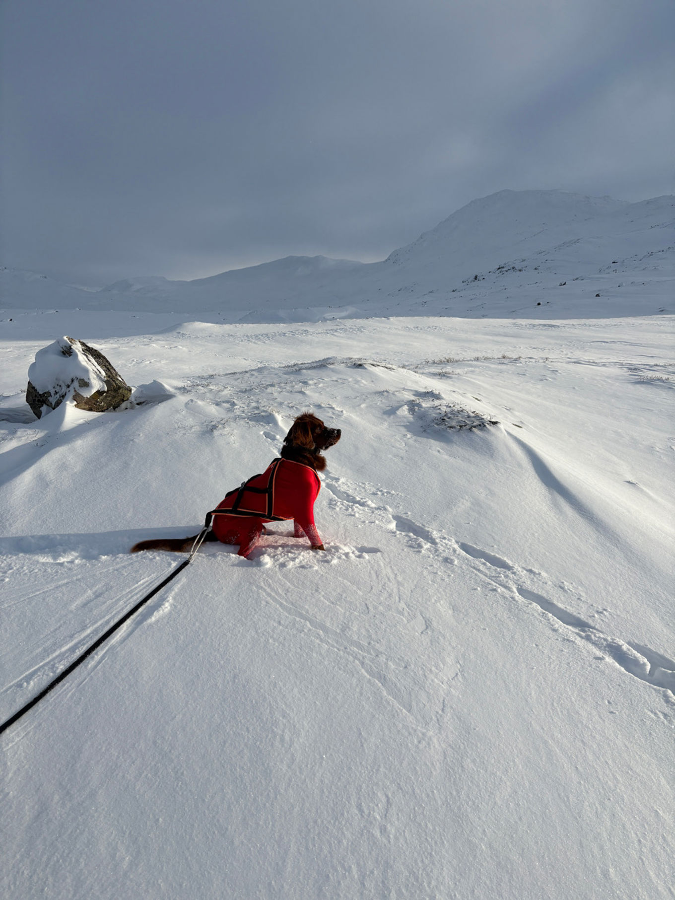 en person som sitter på snøen