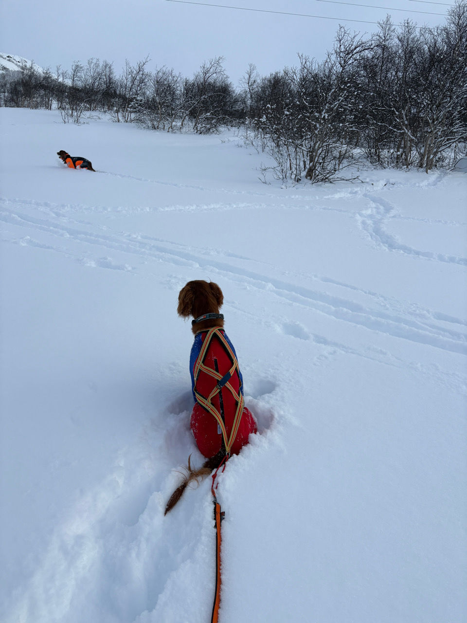 En person på en slede i snøen