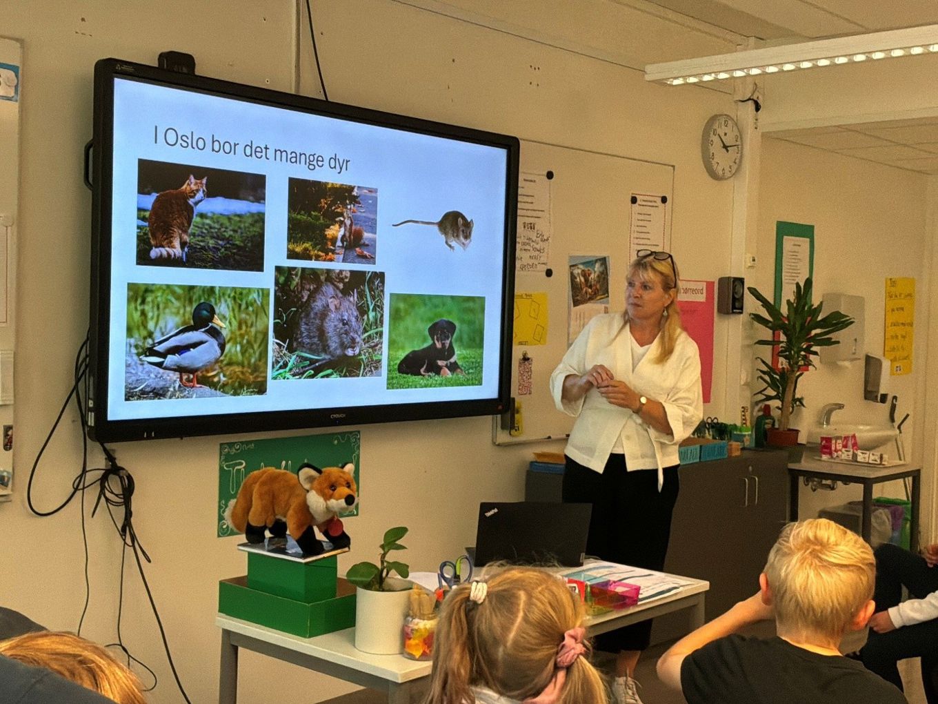 en person som holder en presentasjon